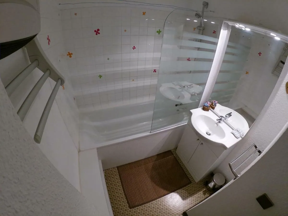 Appartement montagnard LA JOUE DU LOUP 30M² PIED PISTES 5pers 3+++ France